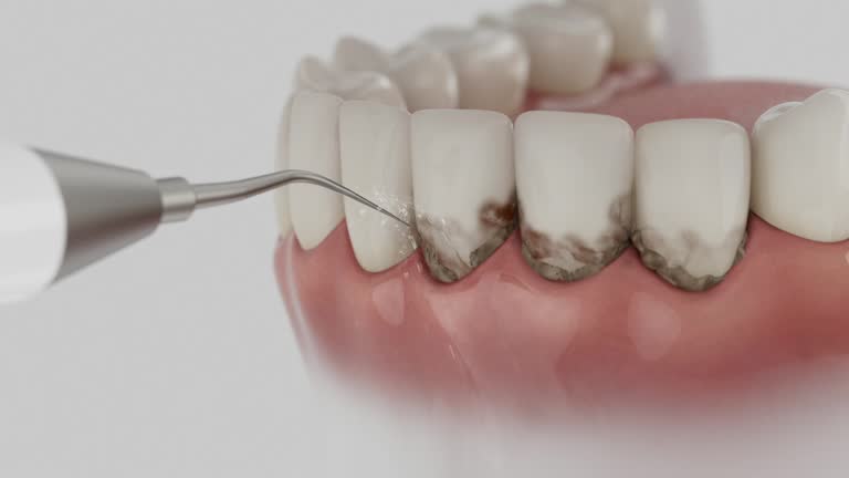 Reliable Dental contractor in Ellicott City, MD by Dentist Open Now